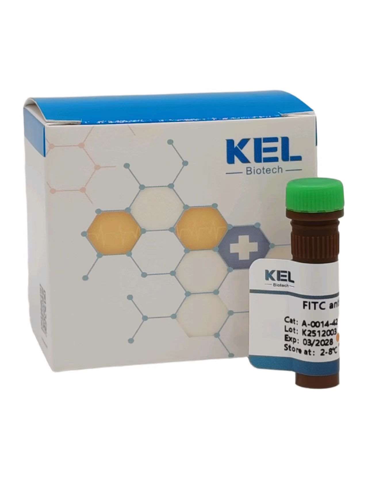 FITC anti-human CD8a