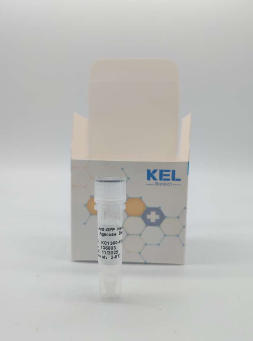 Anti-mCherry Nanobody Magnetic beads