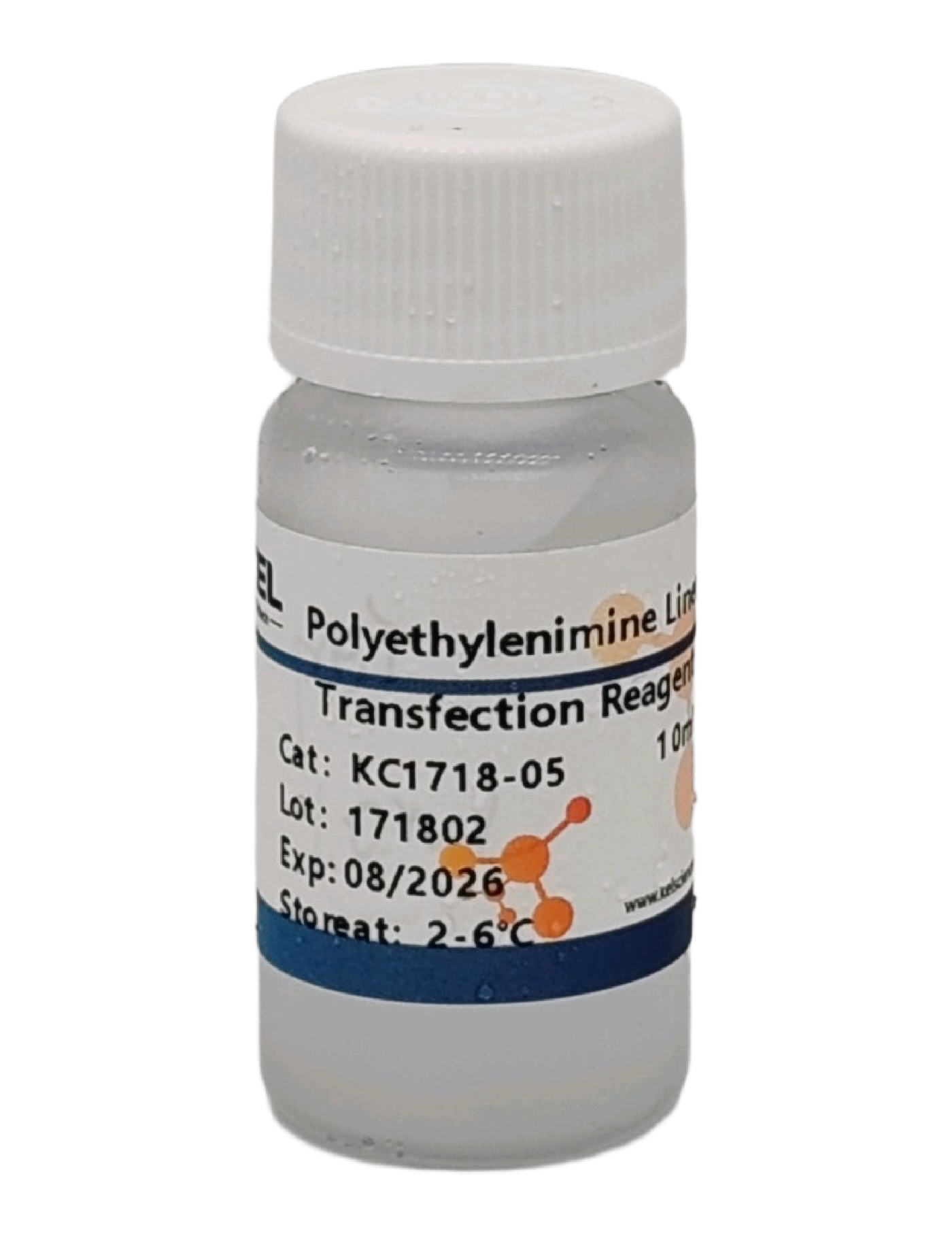 PEI转染试剂
