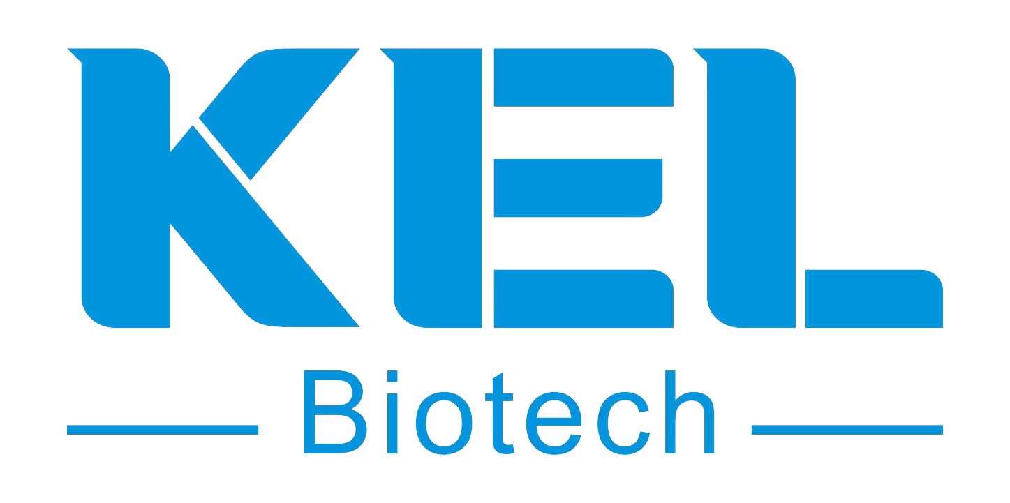 人慢性髓系白血病细胞；K562 (STR)