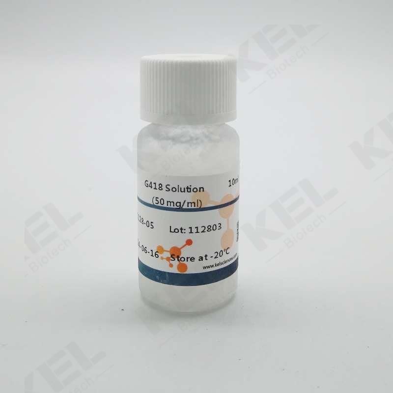 G418硫酸盐 50mg/ml