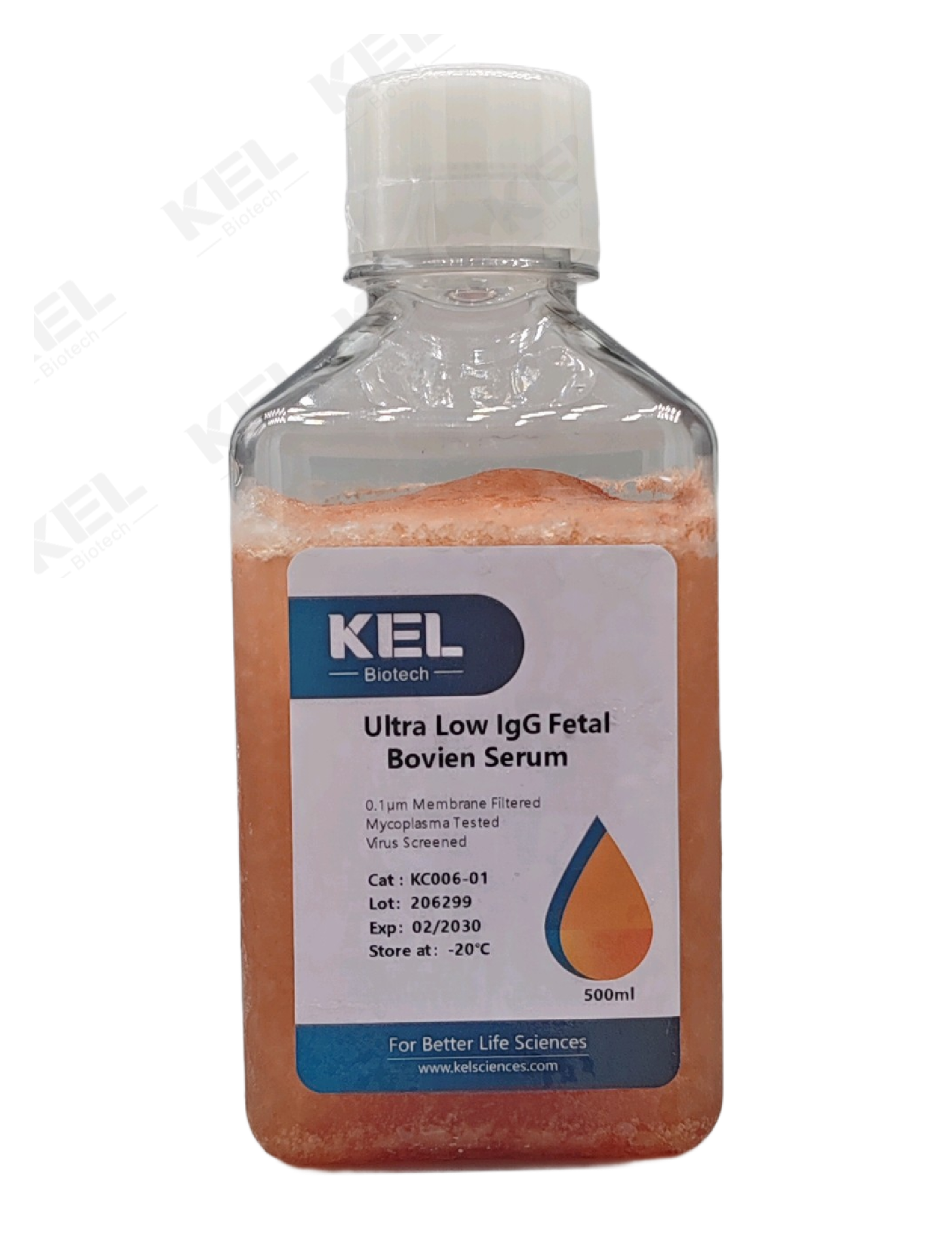 Ultra Low IgG Fetal Bovine Serum     超低IgG胎牛血清