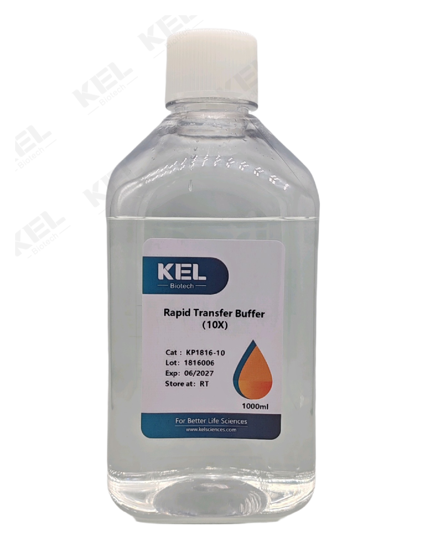 Rapid Transfer Buffer 快速转印缓冲液（10X）