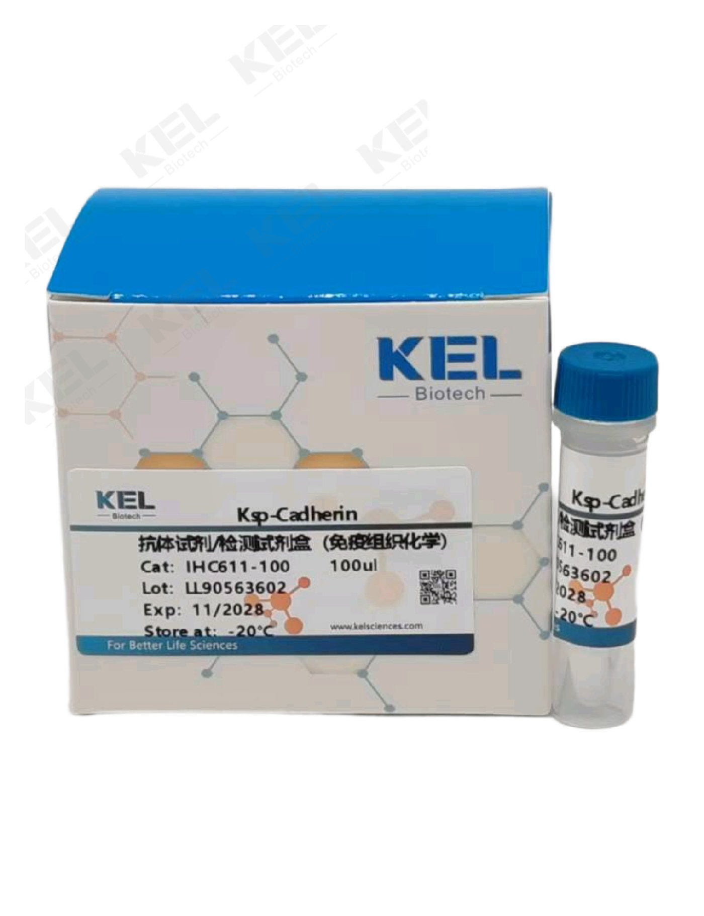 Ksp-Cadherin抗体试剂/检测试剂盒（免疫组织化学）