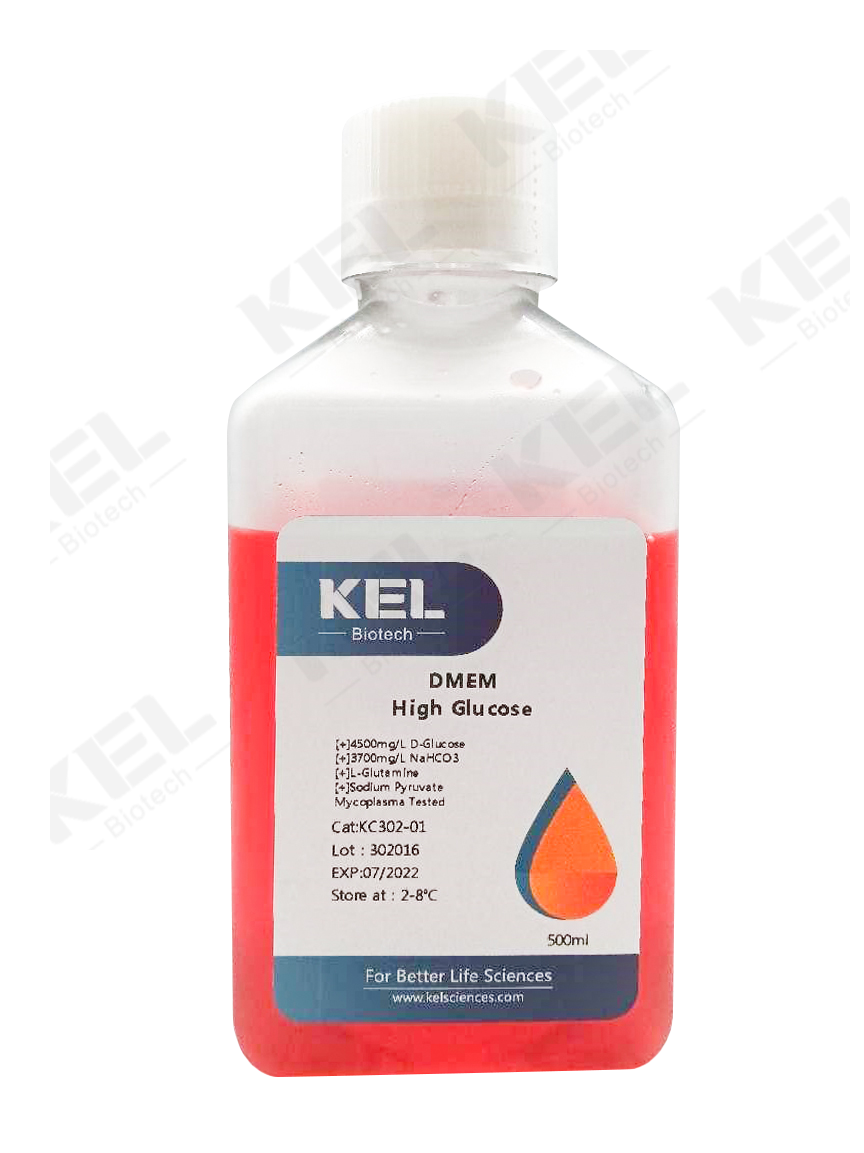 DMEM, High Glucose, with Sodium Pyruvate, with L-Glutamine    DMEM高糖（含谷氨酰胺，含丙酮酸钠）