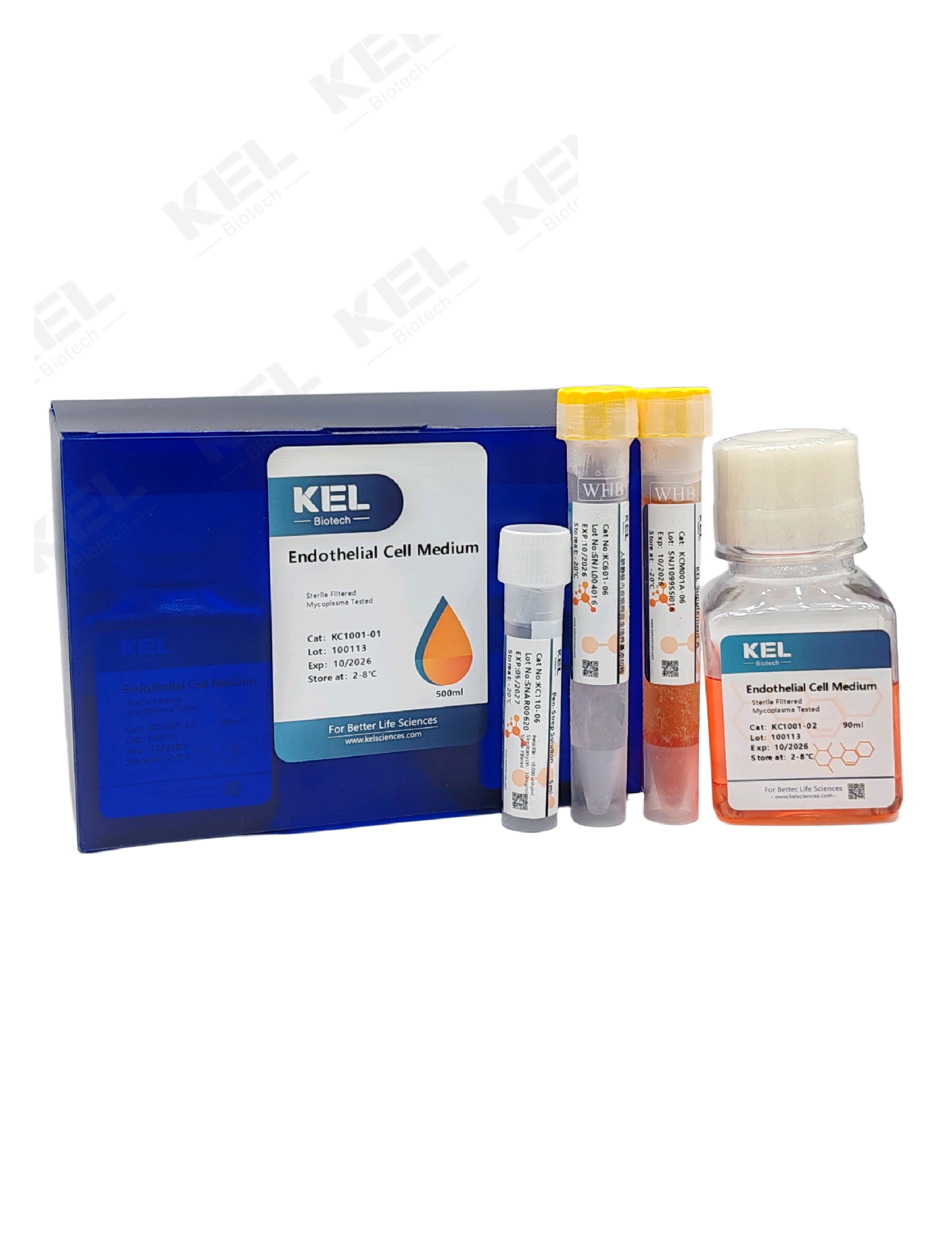 Endothelial Cell Culture Medium  ECM培养基