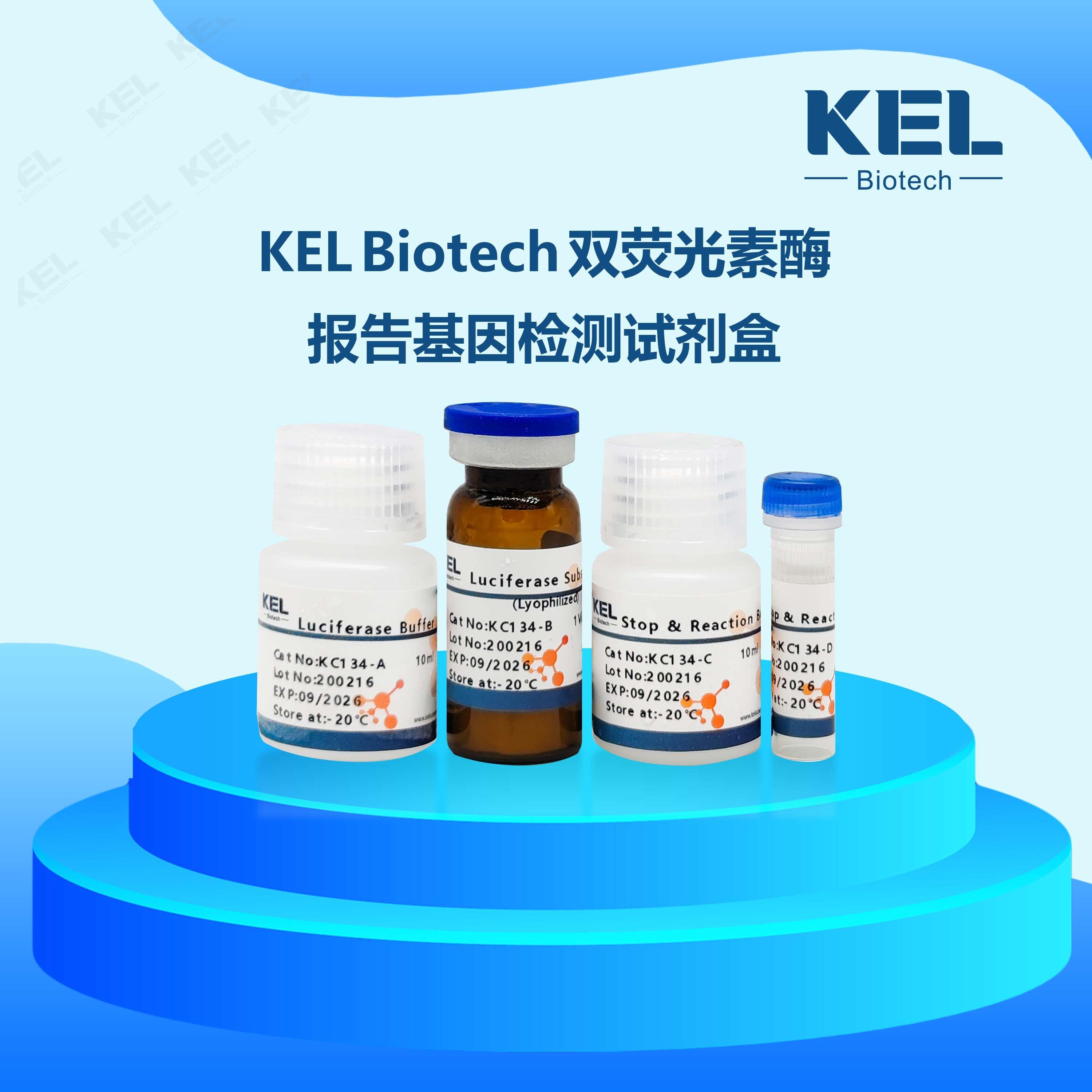 Duo-Glo Luciferase Assay System 双荧光素酶报告基因检测试剂盒(辉光型)
