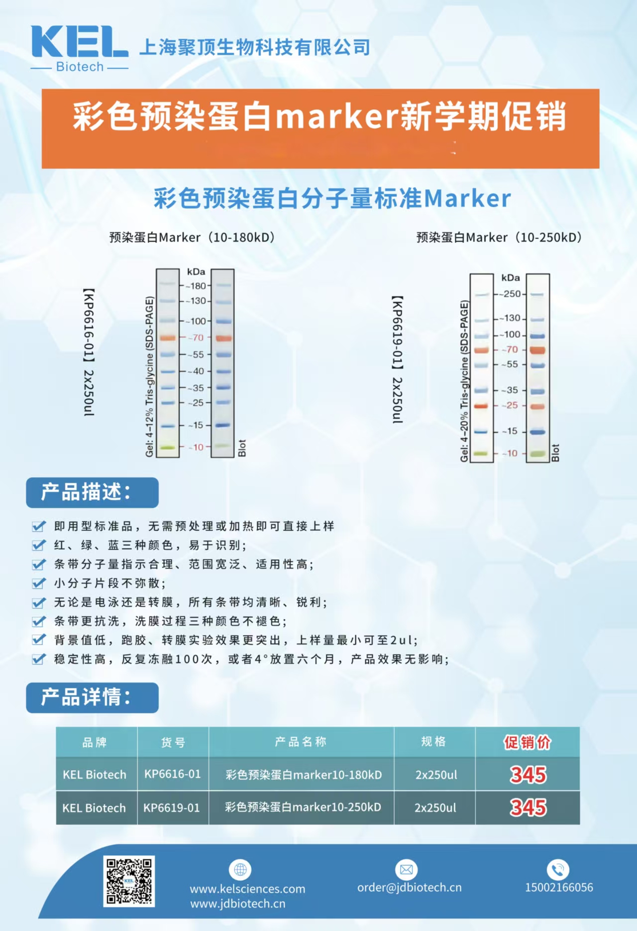 KEL Biotech蛋白marker.jpg