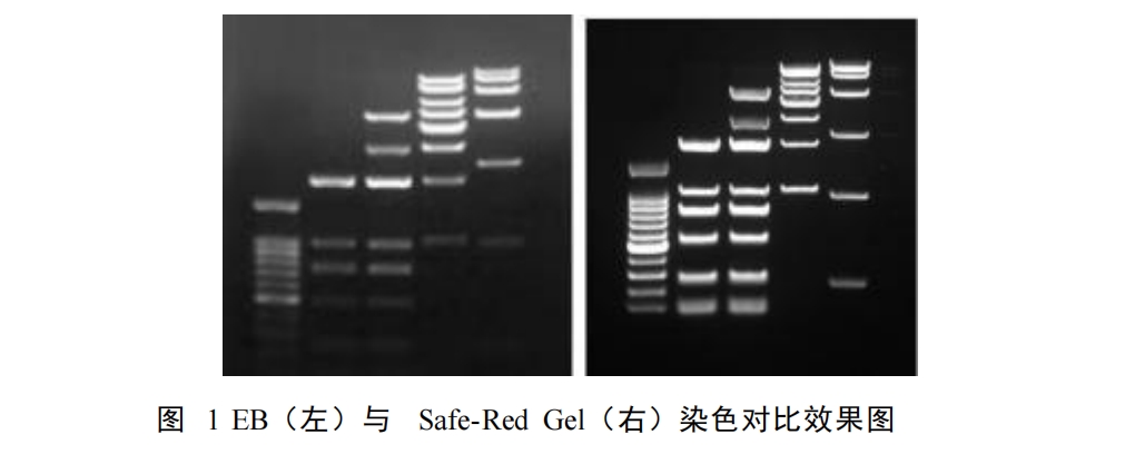 微信截图_20251028120835.png 微信截图_20251028120835.png