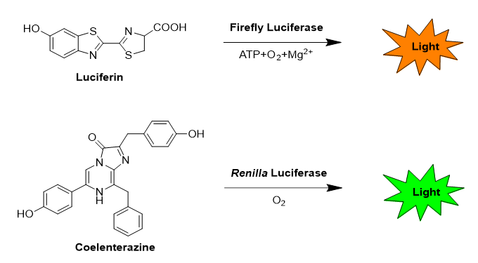 ScreenShot_2025-11-25_115618_155.png ScreenShot_2025-11-25_115618_155.png